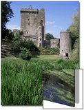 Blarney Castle  County Cork  Munster  Eire (Republic of Ireland)