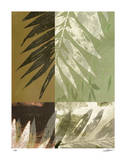 Savannah Leaves IV