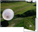 Zorbs People Moving Inside Balls on Lawn  Rotorua  New Zealand