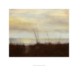 Sunrise Stroll IV