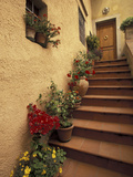 Tuscan Staircase  Italy