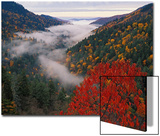 Autumn View of Fog from Morton Overlook  Great Smoky Mountains National Park  Tennessee  USA