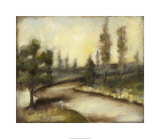 Misty Morning I