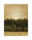 Treeline Sunset I