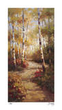 Forest Walkway