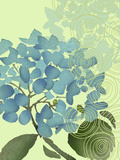 Hydrangea in Blue