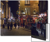 The Temple Bar Pub  Temple Bar  Dublin  County Dublin  Republic of Ireland (Eire)