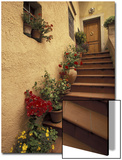Tuscan Staircase  Italy