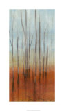 Birch Forest I