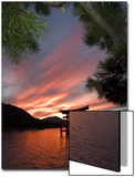 Torii Shrine Gate in the Sea  Miyajima Island  Honshu  Japan