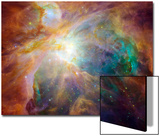 Orion Nebula