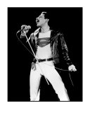 Freddie Mercury