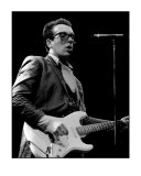 Elvis Costello