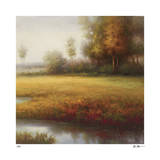 Meadow Light