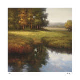 Wooded Glade