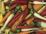 Genetic Variation and Diversity in Carrots  Daucus Carota
