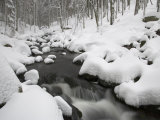 Mountain Brook with Water Running Swiftly from Melting Snow in the Spring
