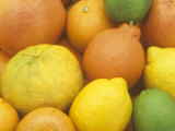 Citrus Fruits Grapefruit  Tangerine  Ugli  Orange  Lemon  Lime  Tangelo and Clementine