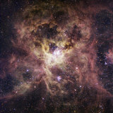 Ngc 2070  the Tarantula Nebula