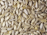Raw Hulled Sunflower Seeds (Helianthus Annuus) North America