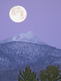 Full Moon Setting Behind Jay Peak  Vermont the Alpine Tree Line Illustrates Altitudinal Zonation