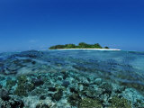 Corals in Shallow Water  Maldives  Indian Ocean  Meemu Atoll