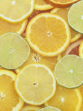 Citrus Slices Lemon  Lime  Orange  Grapefruit and Tangerine