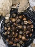 Nutmeg Sold in a Market  Indonesia