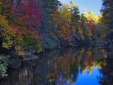 Autumn Colors Reflected on the Linville River  Pisgah National Forest  North Carolina  USA