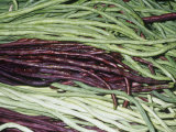 Mixture of Chinese Long Bean Pods (Vigna Unguiculata) Native to North and West Africa