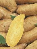 Sweet Potatos (Ipomoea Batalas)