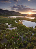 Sunrise in Porphyry Basin  an Alpine Basin in the San Juan Mountains of Colorado  USA