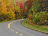 Blue Ridge Parkway Winding Through Autumn Colors  Pisgah National Forest  North Carolina  USA