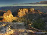Sunrise Warms the Sandstone Pillars and Walls of Colorado National Monument  Colorado  USA