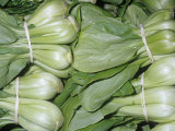 Bok Choy Variety Shanghai (Brassica Rapa Var Chinensis) Native to China
