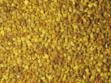 Bee Pollen