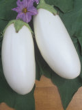 Eggplant  Ghost Buster