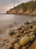 Dawn at Otter Cliffs  Acadia National Park  Maine