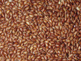 Medium-Grain Red Rice (Oryza Sativa) Native to Bhutan
