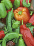 Pepper Varieties  Bell  Habenaro  Chili and Hungarian Varieties