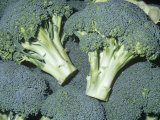 Broccoli (Brassica Oleracea Botrytis)  Native to the Mediterranean Region