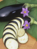 Eggplant  Dusky Hybrid