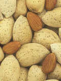 Almond Nut  Prunus Amygdalus