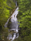 Moss Glen Falls  Stowe  Vermont