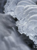 Icicles Forming Along the Side of a Winter Brook