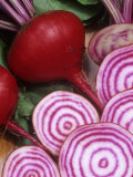 Beet  Chioggia