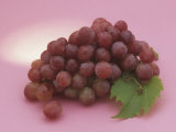 Red Seedless Grapes  Thompson Variety (Vitis)