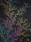Light Refracted in Motor Oil on Wet Asphalt Pavement Revealing a Rainbow Pattern of Colors