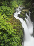 Visitors Enjoying View of Sol Duc Falls  Olympic National Park  Washington  USA