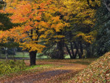 Walking Trail around Bass Lake in the Autumn  Blowing Rock  North Carolina  USA